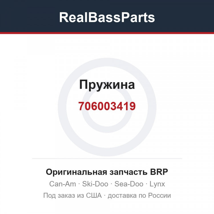 706003419 Пружина