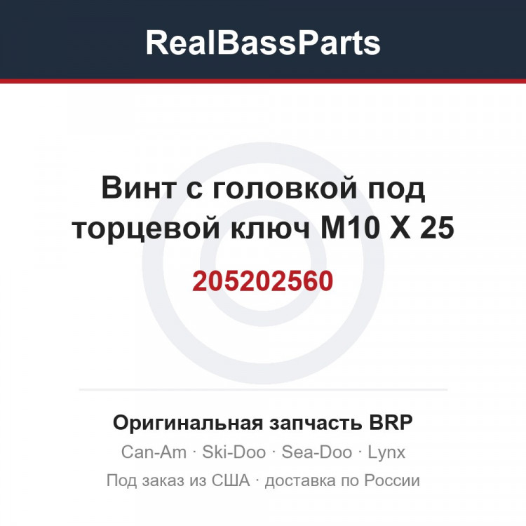 205202560 Винт с головкой под торцевой ключ M10 X 25