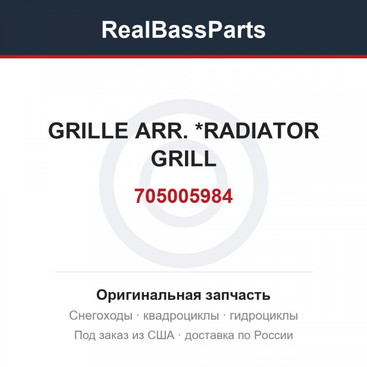 705005984 GRILLE ARR.    *RADIATOR GRILL