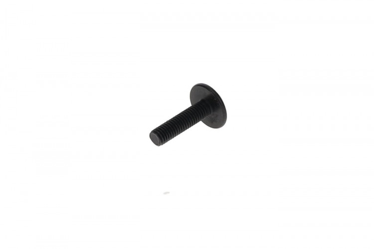 250000586 TORX-TRUSS M/S NYLON PATCH M5X20 Болт M5 X 20