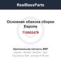 710002479 Основная обвязка сборки Европа