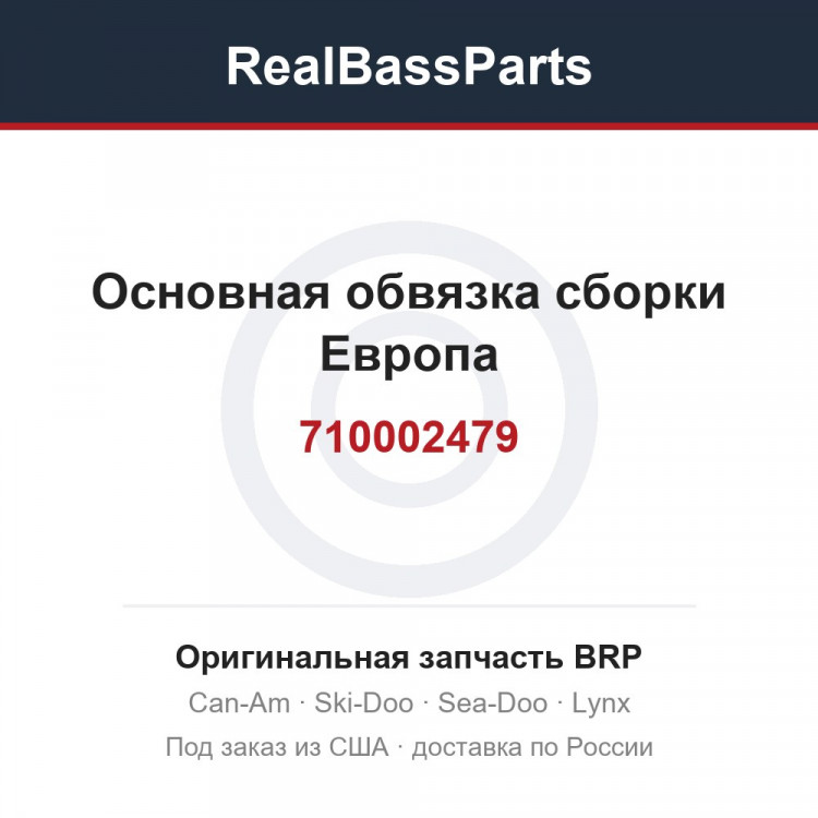 710002479 Основная обвязка сборки Европа