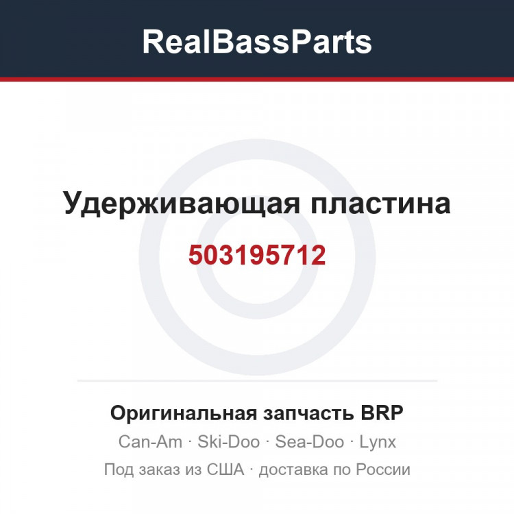 503195712 Удерживающая пластина