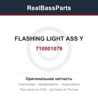 710001079 FLASHING LIGHT ASS Y