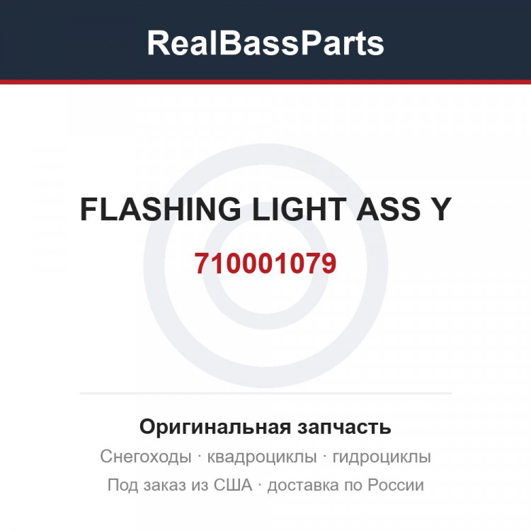 710001079 FLASHING LIGHT ASS Y