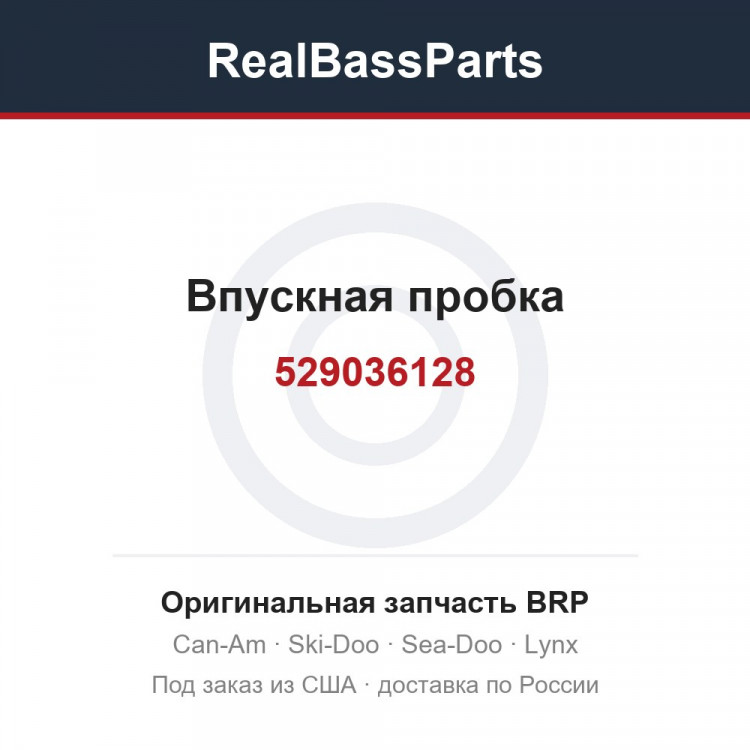 529036128 Впускная пробка