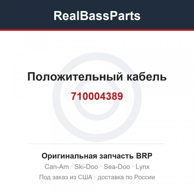 710004389 Положительный кабель