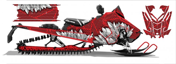 Наклейки для снегоходов Ski-Doo XM XP  Polaris RMK AXYS