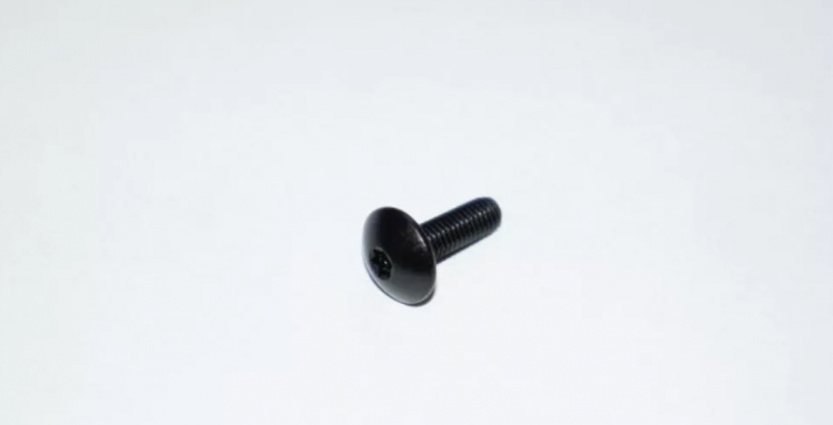 250000676 Болт SCREW-FORMING TORX T-20