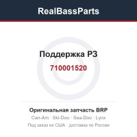 710001520 Поддержка РЗ