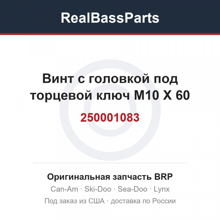 250001083 Винт с головкой под торцевой ключ M10 X 60