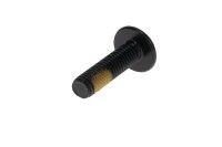 250000197 TORX TRUSS M/S M8 X 30  Болт M8 X 30