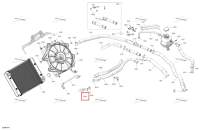 Шланг Ski-Doo Expedition LE 900 ACE Turbo (2026) (509001447)