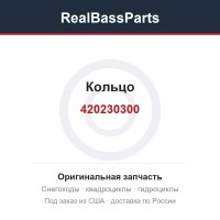 420230300 Кольцо