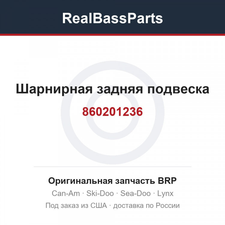 860201236 Шарнирная задняя подвеска