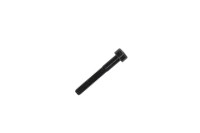 205053588 SCREW-SOCKET HD.DIN.912