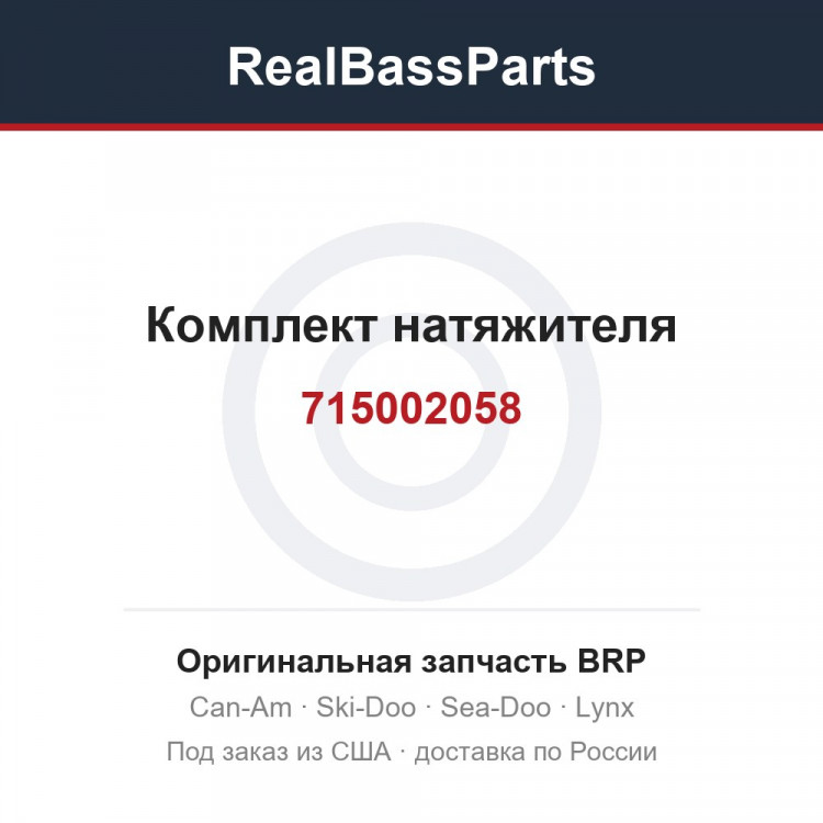 715002058 Комплект натяжителя