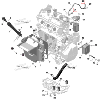 Банджо болт Ski-Doo Expedition 900 ACE Turbo SE (2024) (420840184)