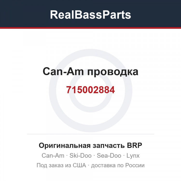 715002884 Can-Am проводка