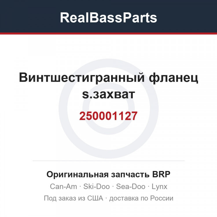 250001127 Винтшестигранный фланец s.захват