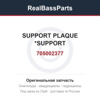 705002377 SUPPORT PLAQUE *SUPPORT