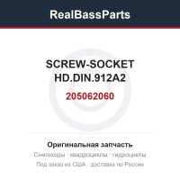205062060 SCREW-SOCKET HD.DIN.912A2
