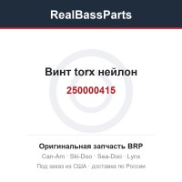250000415 Винт torx нейлон