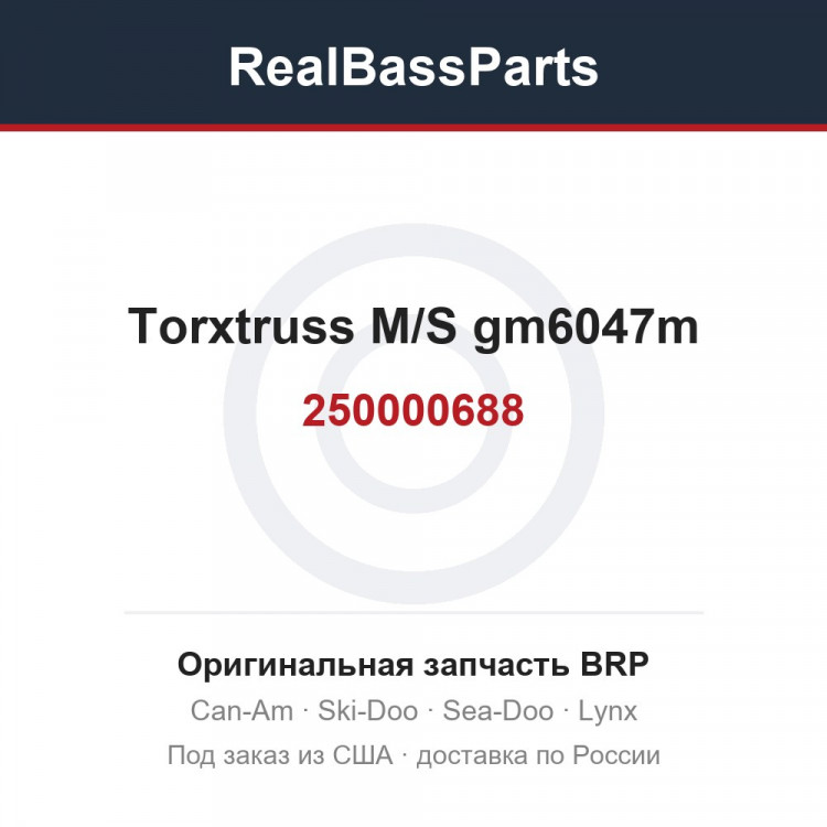 250000688 Torxtruss M/S gm6047m