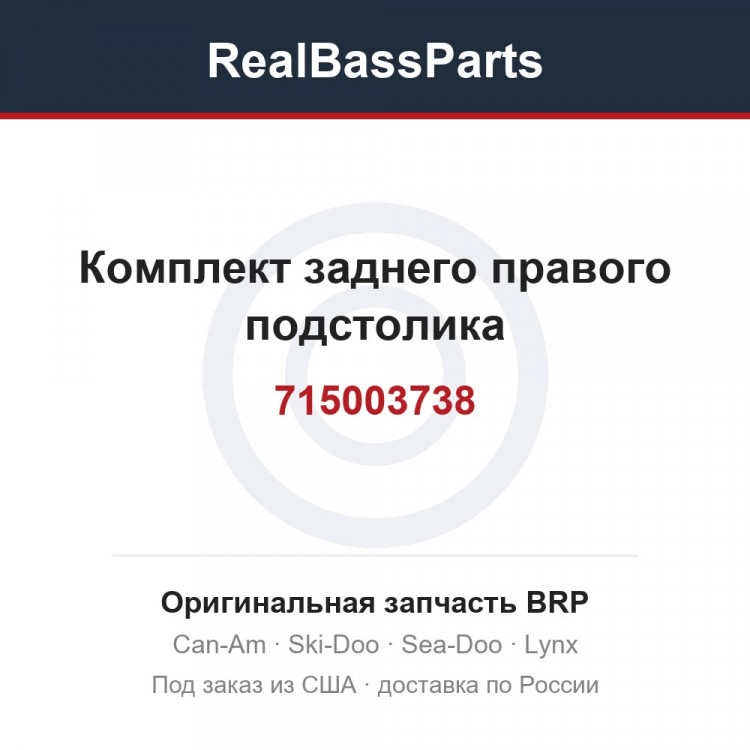 715003738 Комплект заднего правого подстолика