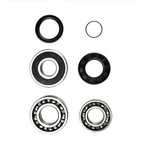 SM-03207 Комплект подшипников КПП Yamaha