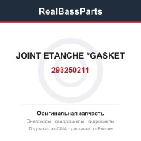 293250211 JOINT ETANCHE  *GASKET