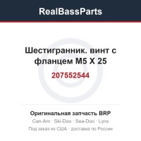 207552544 Шестигранник. винт с фланцем M5 X 25