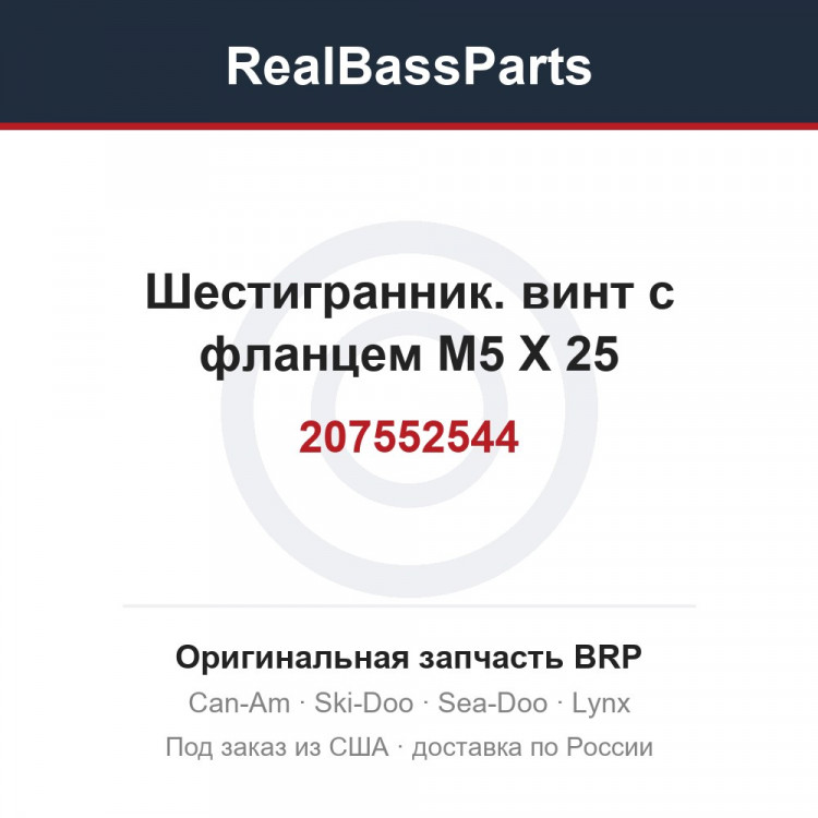 207552544 Шестигранник. винт с фланцем M5 X 25