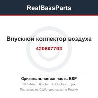 420667793 Впускной коллектор воздуха