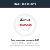 715900636 Жилье
