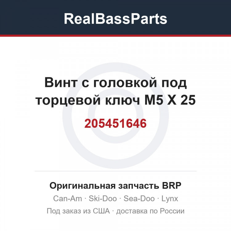 205451646 Винт с головкой под торцевой ключ M5 X 25