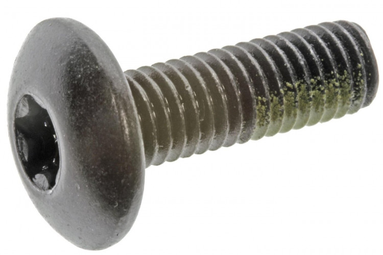 250000722 TORX-TRUSS M/S BZN NYLON PATCH Болт M6 X 20