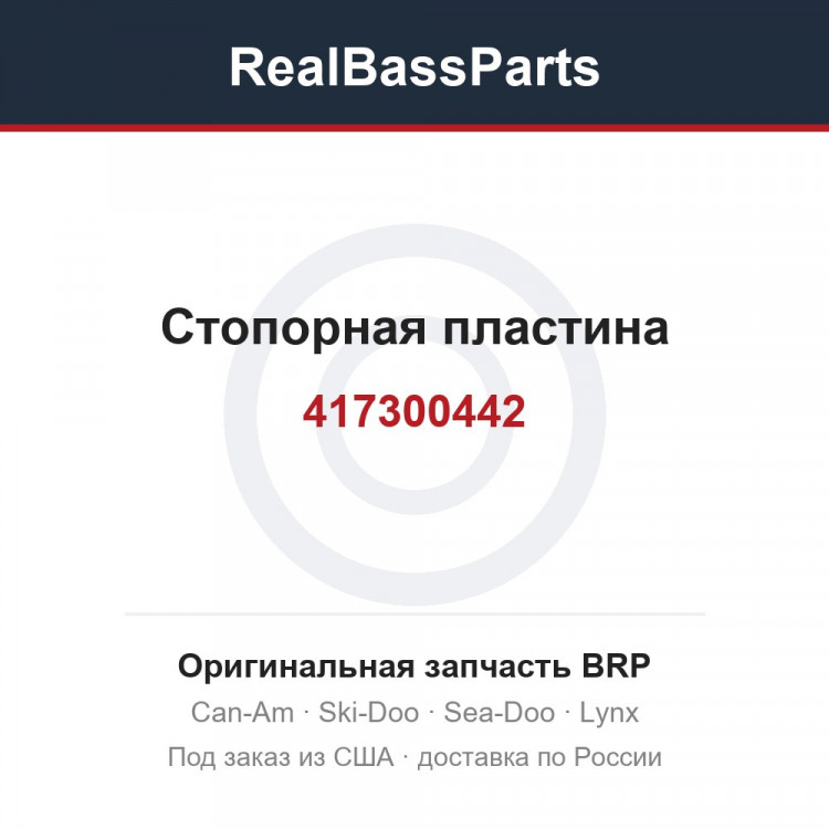 417300442 Стопорная пластина
