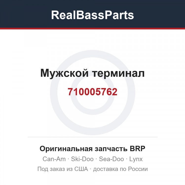 710005762 Мужской терминал