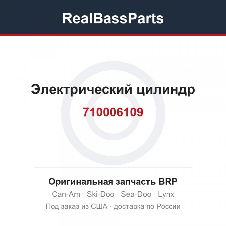 710006109 Электрический цилиндр