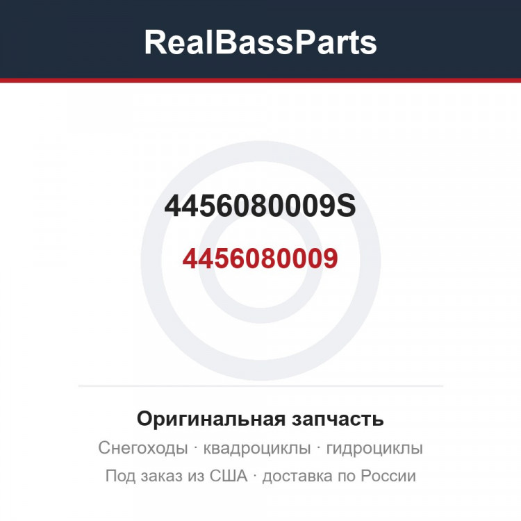 4456080009S