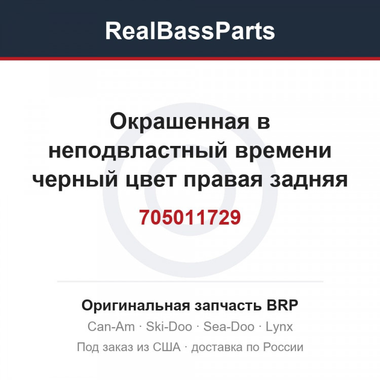 705011729 Окрашенная в неподвластный времени черный цвет правая задняя панель