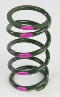 40-77 Пружина вариатора 160/340 SLP (GREEN/PINK)