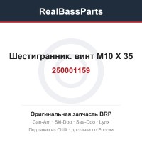 250001159 Шестигранник. винт M10 X 35