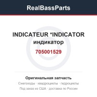 705001529 INDICATEUR     *INDICATOR  индикатор