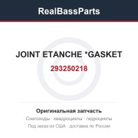 293250218 JOINT ETANCHE  *GASKET