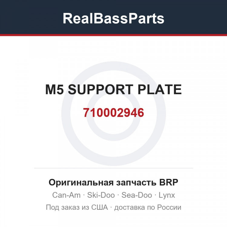 710002946 M5 SUPPORT PLATE