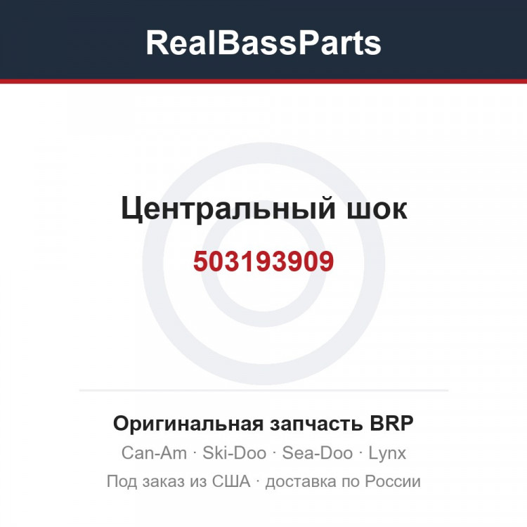 503193909 Центральный шок