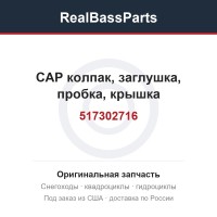517302716 CAP колпак, заглушка, пробка, крышка