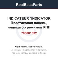 705001532 INDICATEUR     *INDICATOR  Пластиковая панель, индикатор режимов КПП